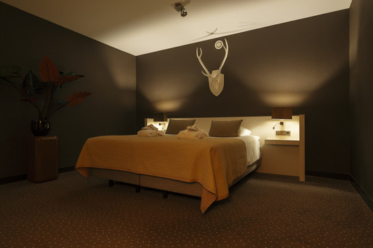 Hotel Apeldoorn - De Cantharel