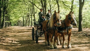 Koetstocht - Hotel Apeldoorn-De Cantharel