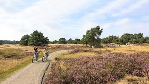 Veluwe