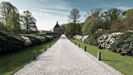 Walking in the Utrechtse Heuvelrug region