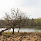 Walking in the Utrechtse Heuvelrug region