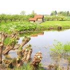 Hiking through the Rivers country