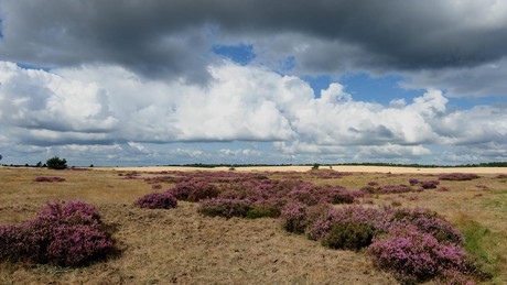 Wandelen bij Arnhem en Nijmegen