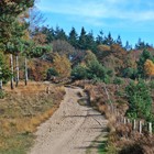 Wandelen bij Arnhem en Nijmegen