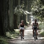 Walking in the north-east Brabant area and Meierij