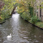Hiking through Bruges Ommeland