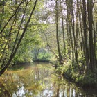 Ontdek de Antwerpse Kempen