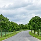 Fietsen door het Land van Herve