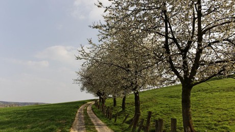 Discover Lower Saxony