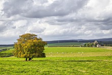 Bezoek het gezellige Waals-Brabant
