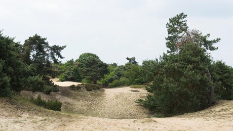 Fietsen in Noord-Limburg