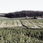 Fietsen in Midden-Limburg