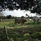 Fietsen in midden- en west-Brabant