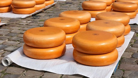 Fietsen door Het Groene Hart