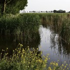 Fietsen door Het Groene Hart