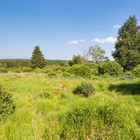 Fietsen door de Ardennen