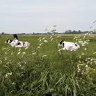 Fietsen door de Achterhoek