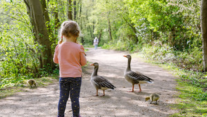 Voorjaarsaanbod bij Van der Valk