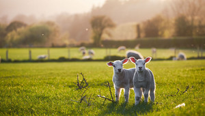 Voorjaarsaanbod bij Van der Valk