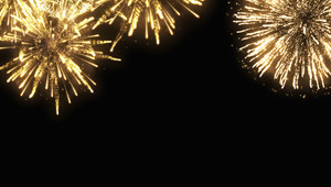 New year at Van der Valk