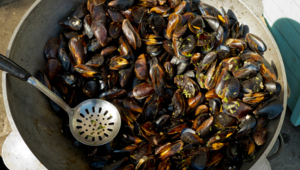 Mosselen eten